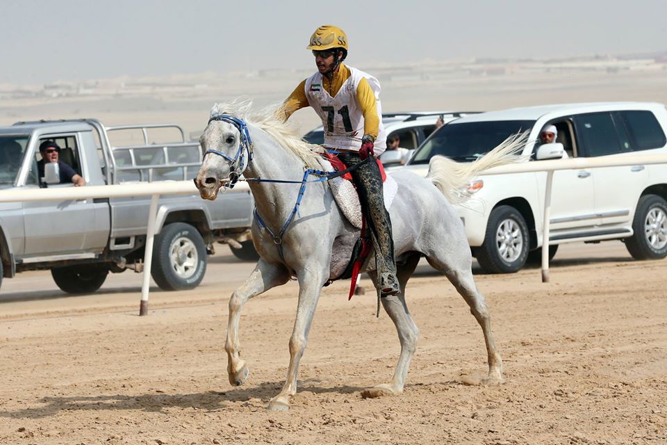 Sultan Saif Al Awani
